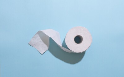 Are Toilet Paper and Paper Towels Sustainable?